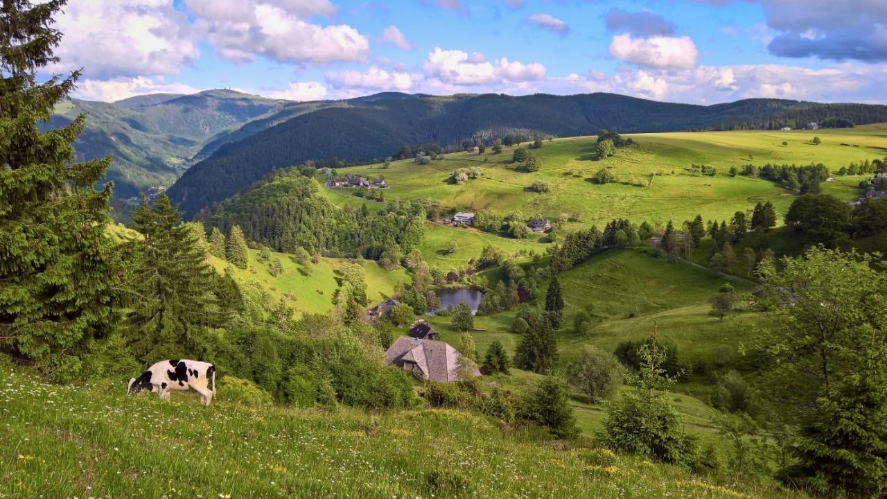 Апартаменти Landhaus Valentin Triberg im Schwarzwald Екстер'єр фото