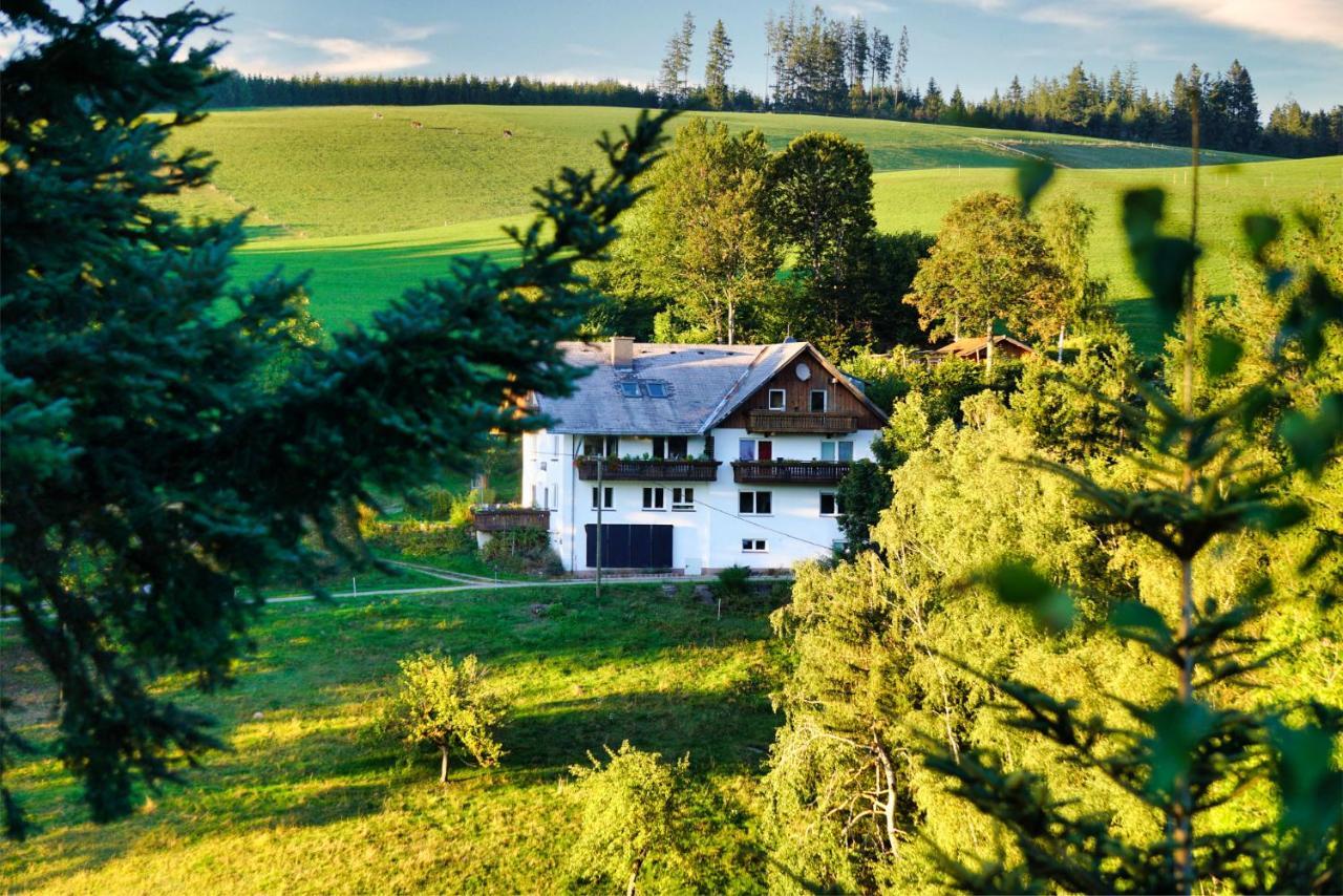 Апартаменти Landhaus Valentin Triberg im Schwarzwald Екстер'єр фото