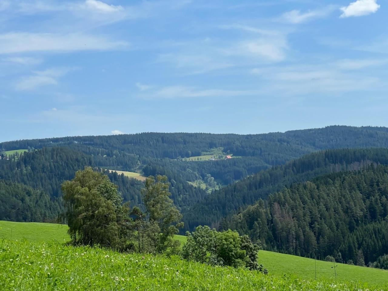 Апартаменти Landhaus Valentin Triberg im Schwarzwald Екстер'єр фото