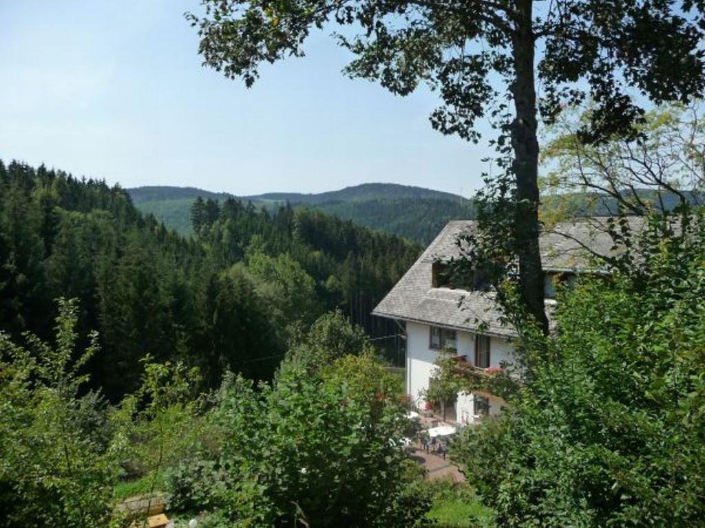 Апартаменти Landhaus Valentin Triberg im Schwarzwald Екстер'єр фото