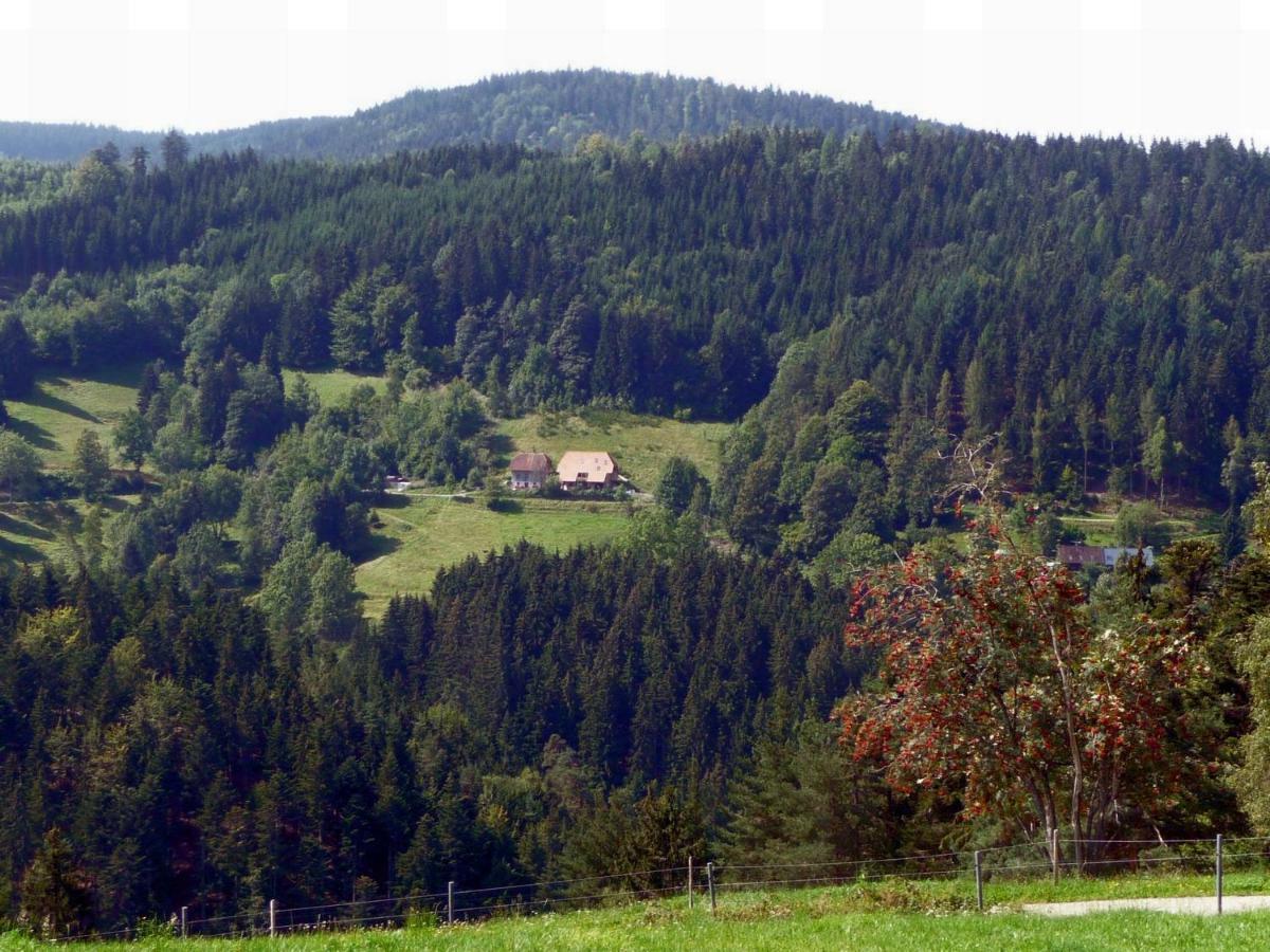 Апартаменти Landhaus Valentin Triberg im Schwarzwald Екстер'єр фото