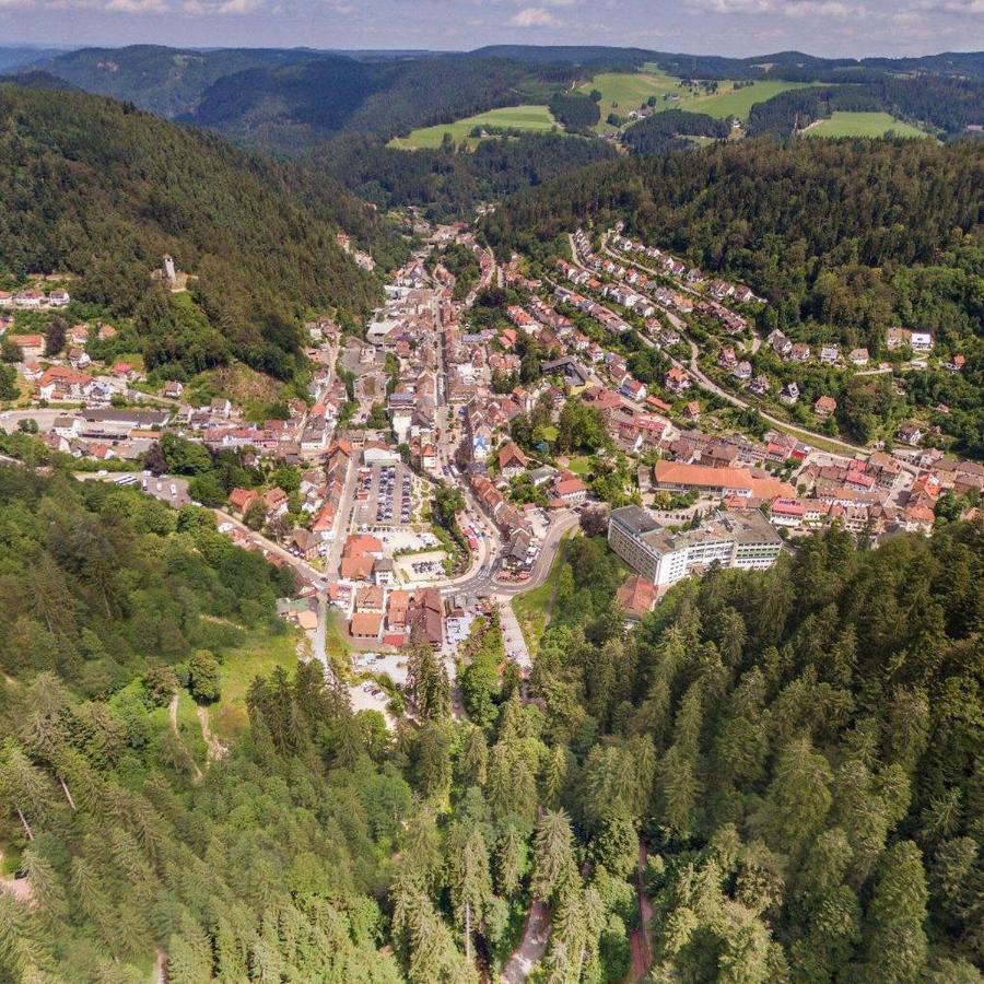 Апартаменти Landhaus Valentin Triberg im Schwarzwald Екстер'єр фото