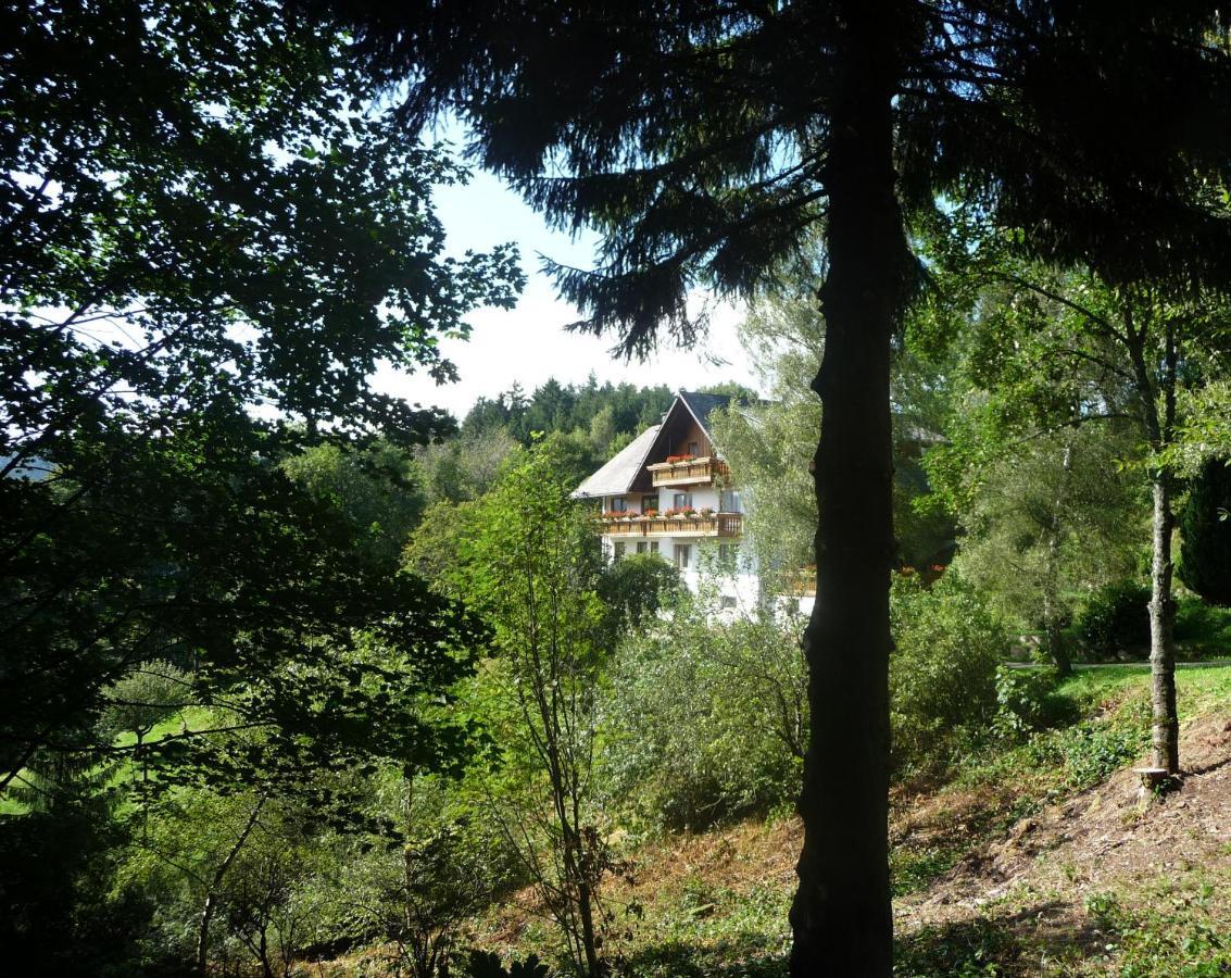 Апартаменти Landhaus Valentin Triberg im Schwarzwald Екстер'єр фото